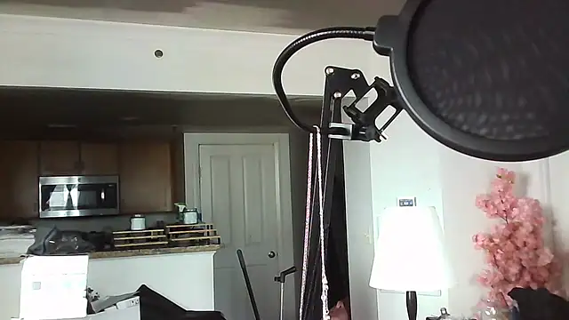 mikey-s-cort webcam