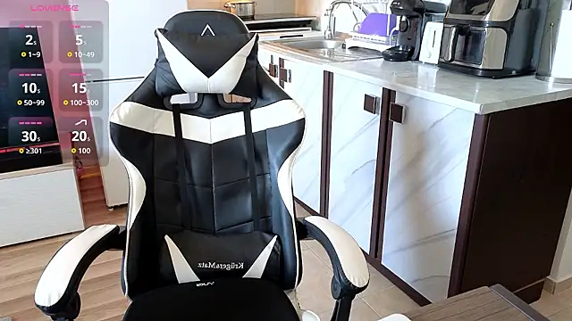 RyanStorm_ webcam