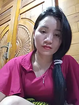 Td3di webcam