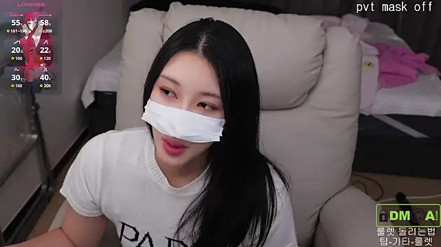 Kor_Cat webcam