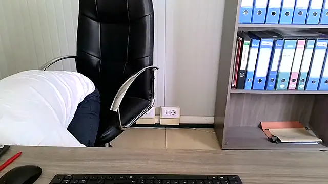 Evasionee webcam