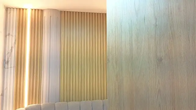 eivy_lilith_cn webcam