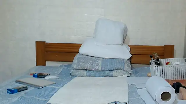 awild_kitten webcam