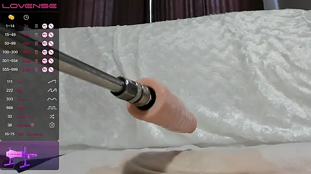 EvaDream webcam
