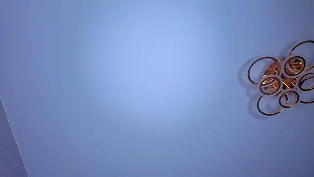 PerryKitty webcam