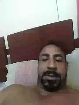 SilencedPoseur webcam