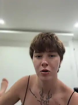IceMur webcam