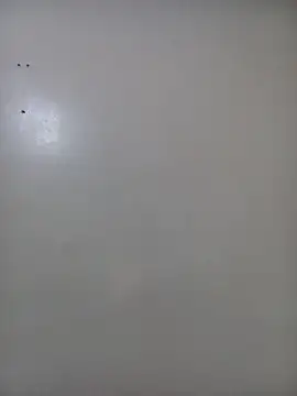 SashaFreshy webcam