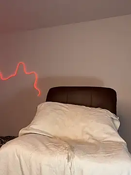 Samispank webcam