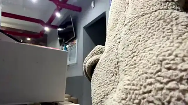 SuzanMoote webcam