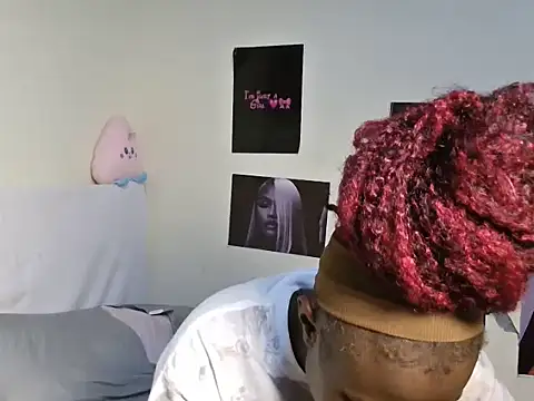 Aria_ah webcam