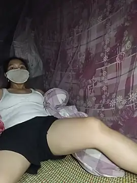 Hiha-nn webcam