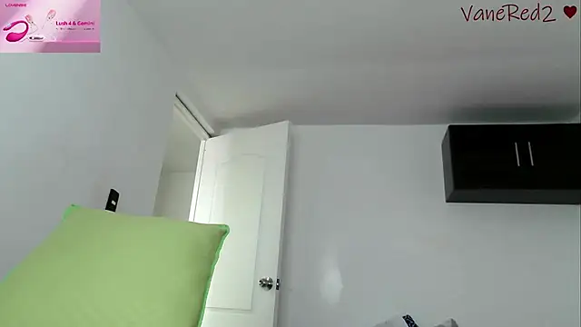 vanered2 webcam
