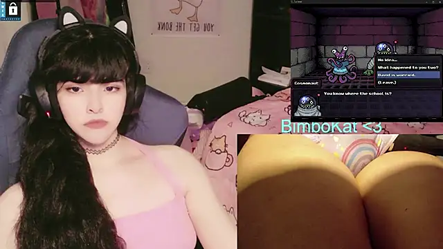 BimboCat webcam