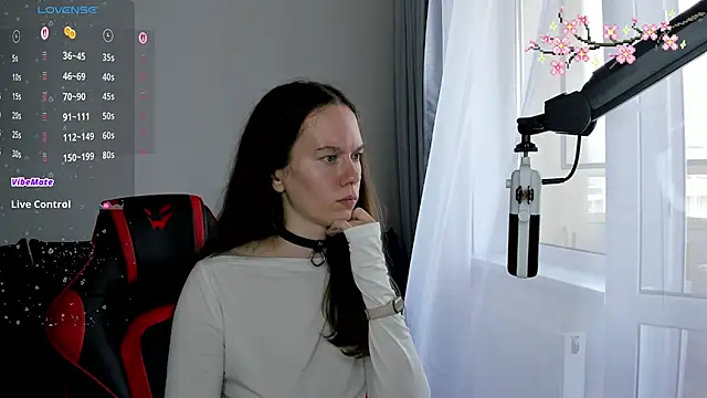 Vulgar_Tamer