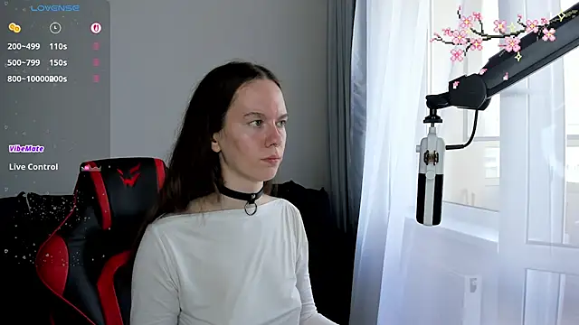 Vulgar_Tamer webcam