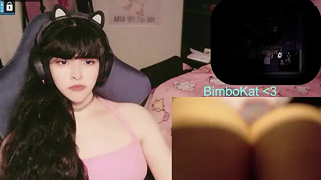 BimboCat webcam