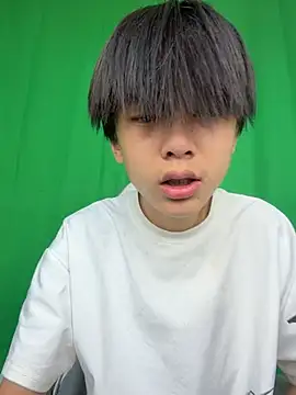DD-101 webcam