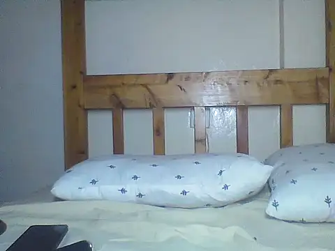 bancie webcam