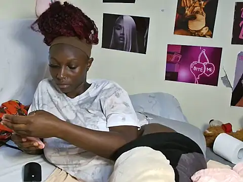 Aria_ah webcam