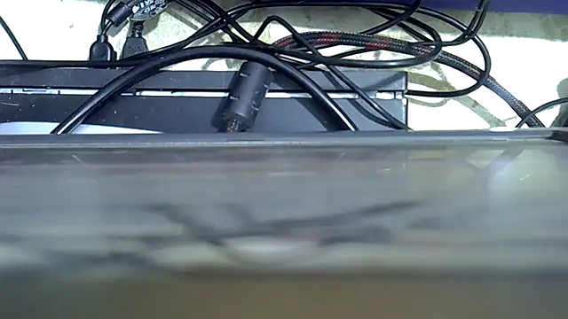 cutiebie webcam