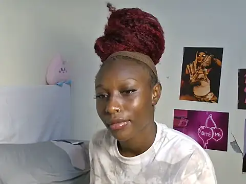 Aria_ah webcam