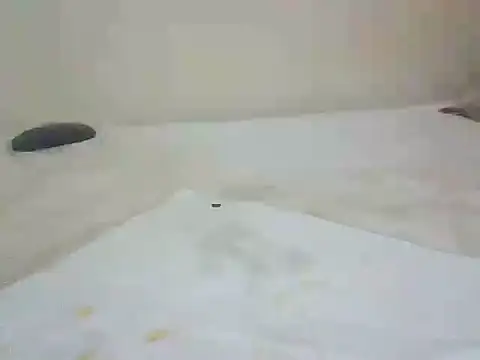 noella23123 webcam