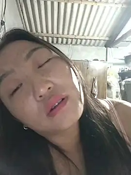 zhen-zo webcam