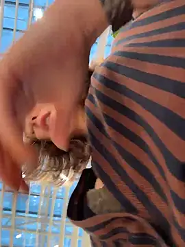 Dina_Tease webcam