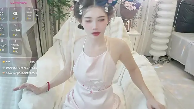 LIN-AN webcam
