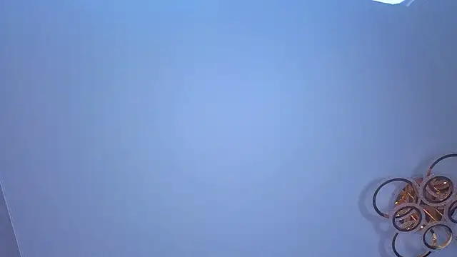 PerryKitty webcam