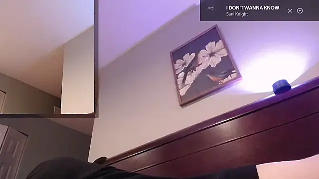 Snarfle82 webcam