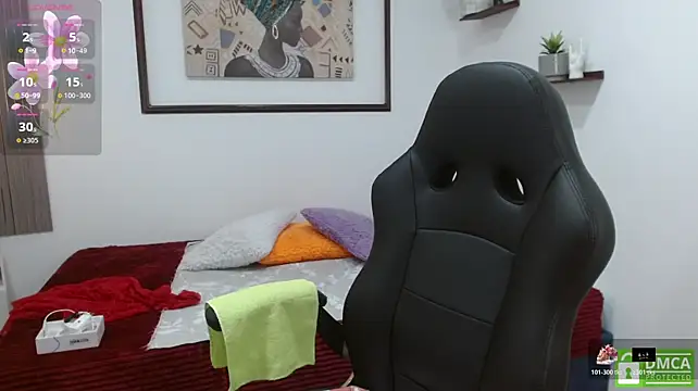 sila_bolum webcam