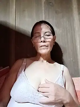 toyo_668 webcam