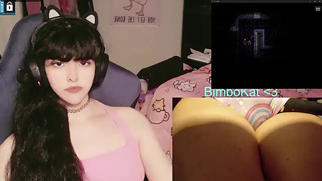 BimboCat webcam