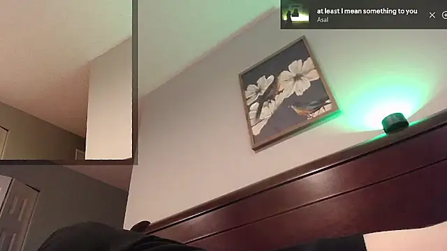 Snarfle82 webcam