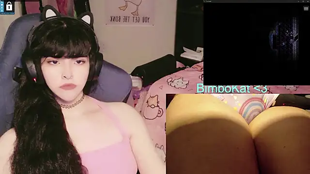 BimboCat