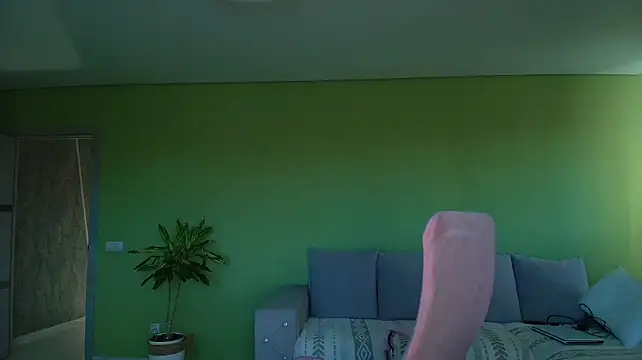Cuddle_Cat webcam