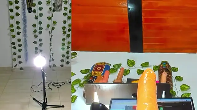 ailany_funny webcam