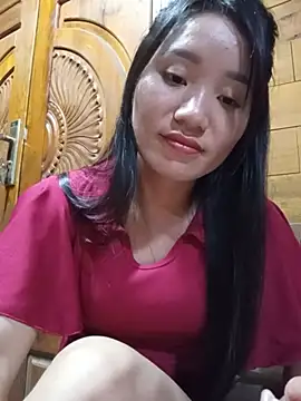 Td3di webcam