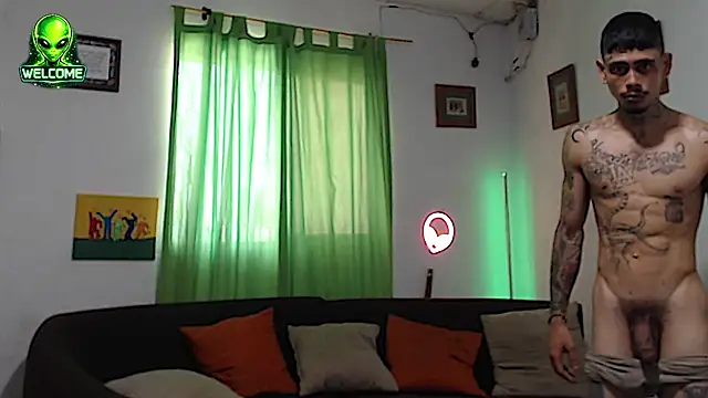 alpha_zom webcam