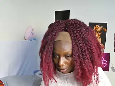 Aria_ah webcam