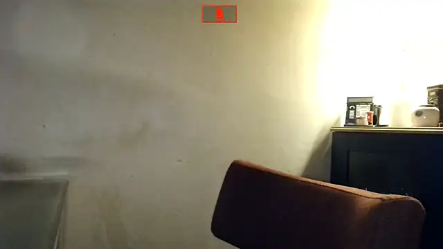 Hgay6935 webcam