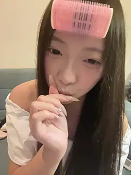YY-1-1-1 webcam