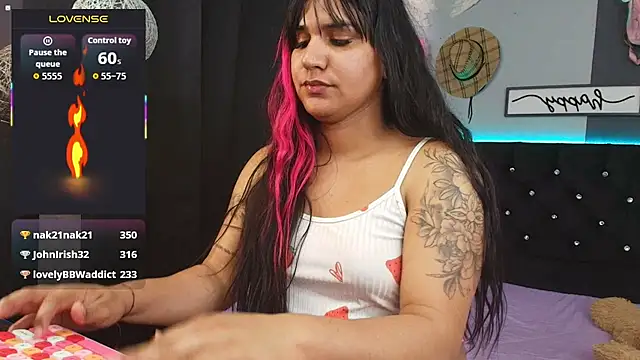 Modelo: Kagome01