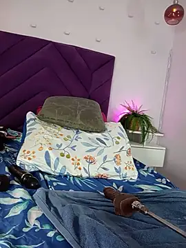 haileystone webcam