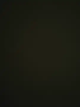 aarumna webcam