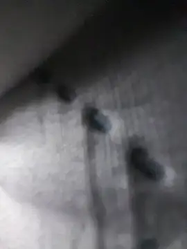 kinG_black69 webcam