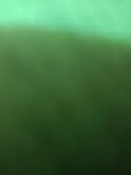 BlackkCrab