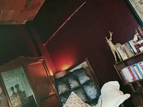 prettybushy webcam